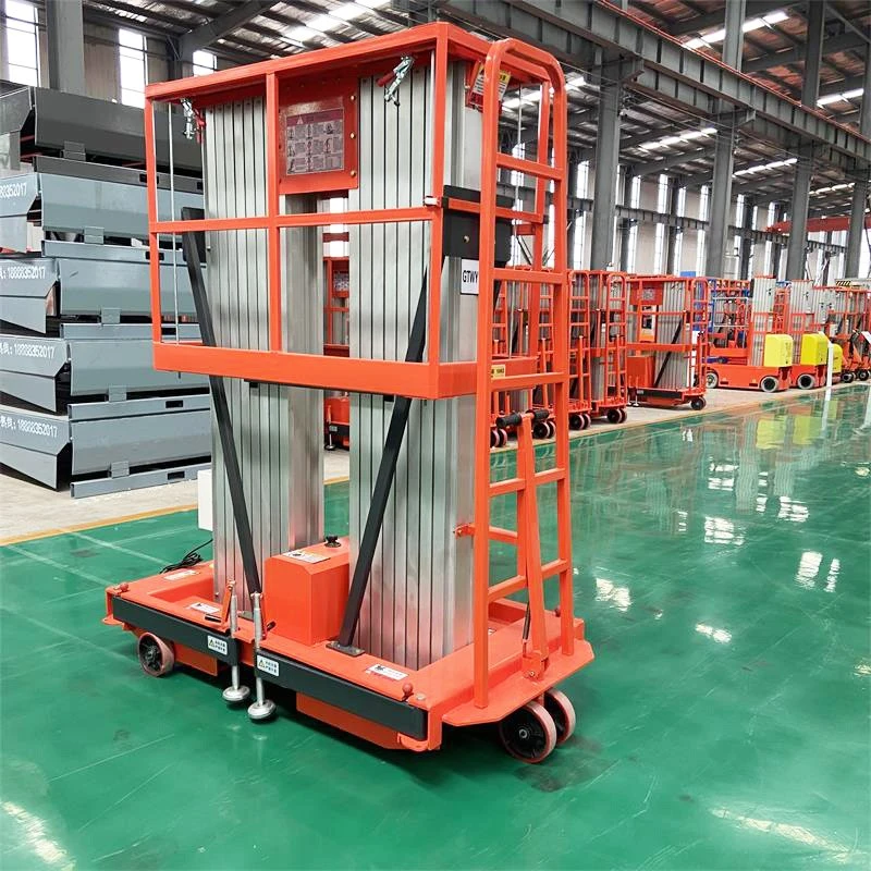 Double Mast Aluminum Alloy Lift For Warehouse high quality